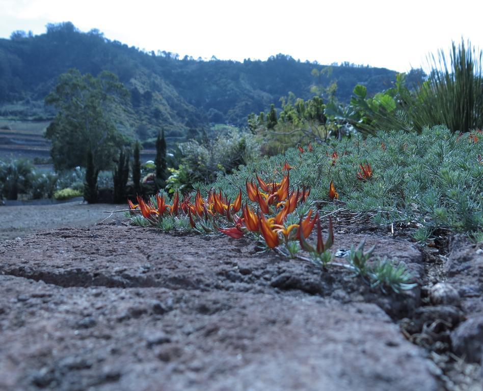 Haciendas Del Valle - Las Kentias Valle de Guerra ภายนอก รูปภาพ